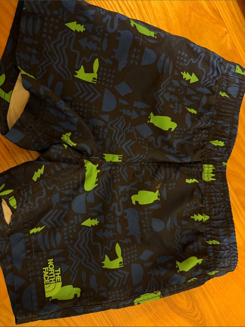 The North Face Navy and Lime Green Kids Swim Shorts